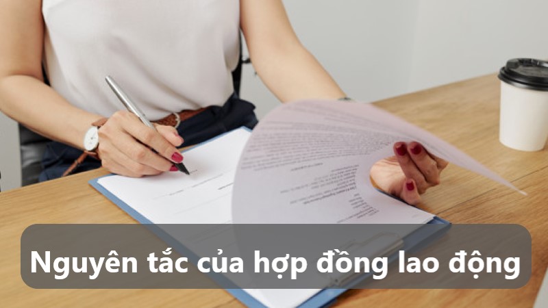 hợp đồng lao động là gì