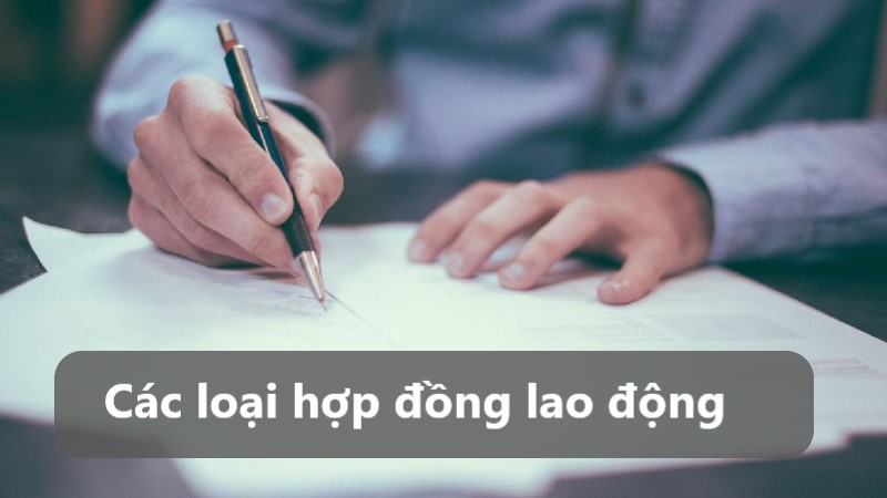 hợp đồng lao động nguyên tắc