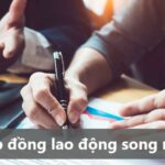 hợp đồng lao động song ngữ