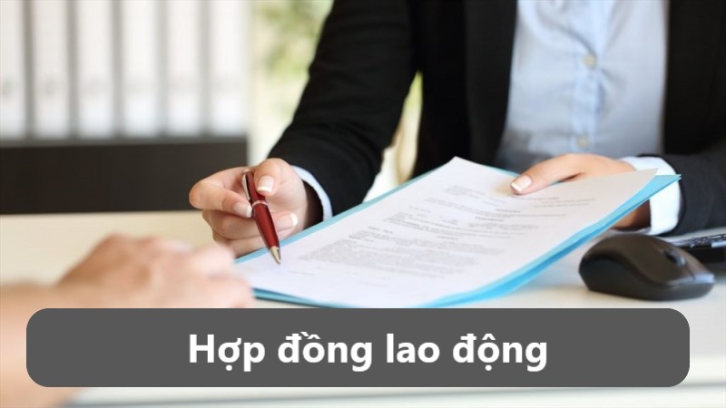 hợp đồng lao động