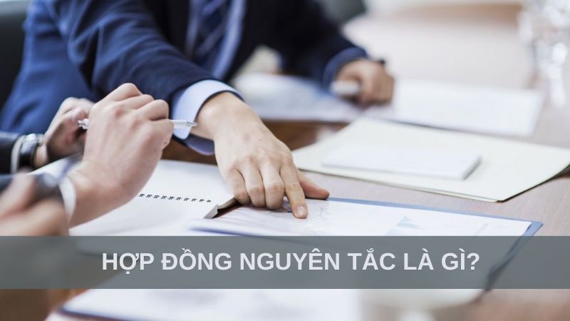 hợp đồng nguyên tắc và hợp đồng kinh tế