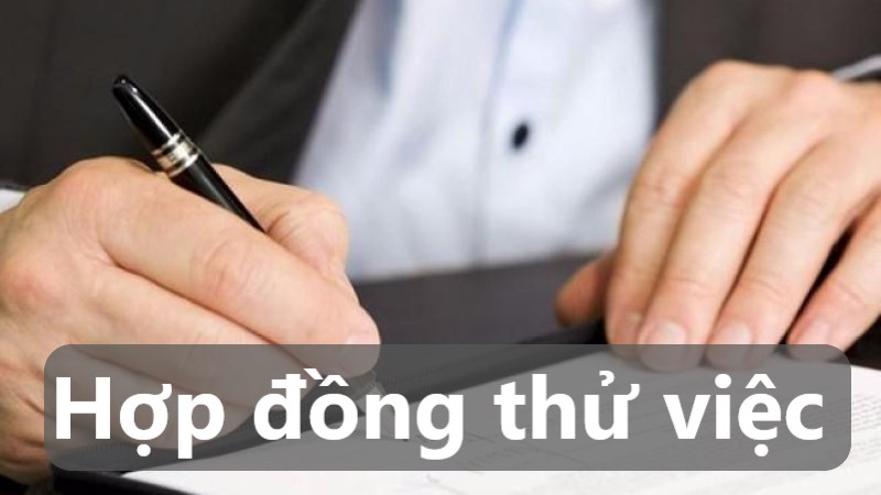 hợp đồng thử việc 