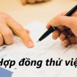 hợp đồng thử việc