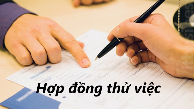 hợp đồng thử việc