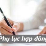 phụ lục hợp đồng