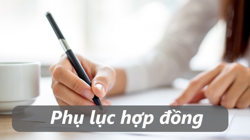 phụ lục hợp đồng