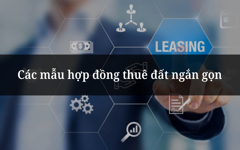 Các mẫu hợp đồng thuê đất ngắn gọn