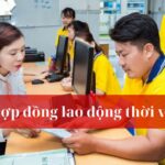 Hợp đồng lao động thời vụ