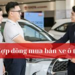 Hợp đồng mua bán xe ô tô