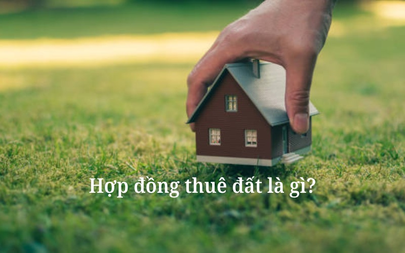 Hợp đồng thuê đất là gì?